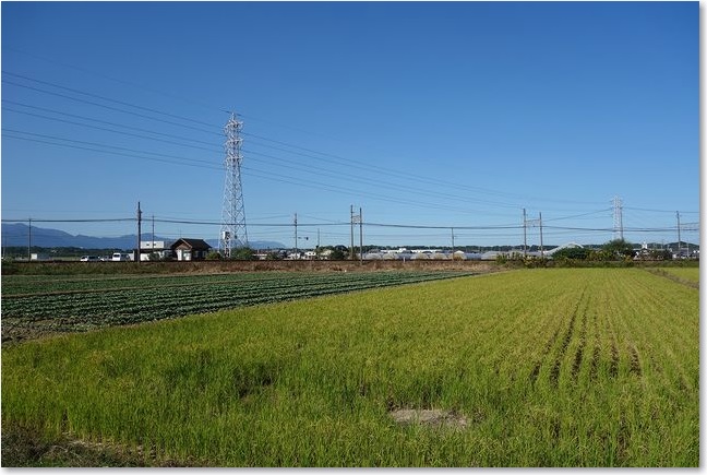 21向こうは近鉄