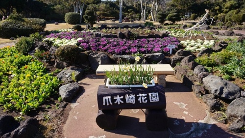 20150108 12554901.JPG