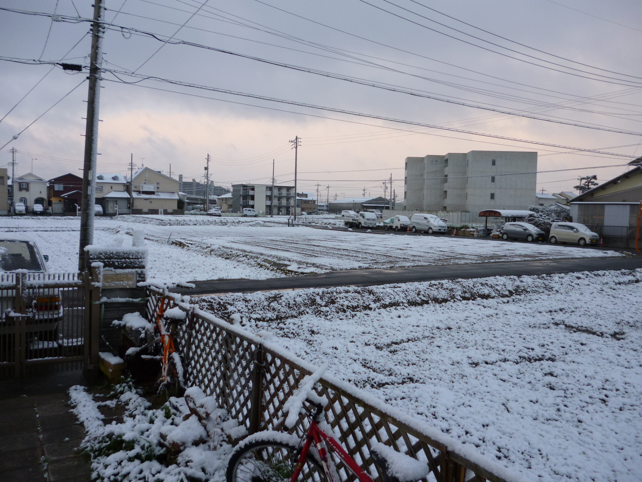 P1010281.JPG