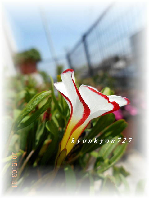 DSCN0549.jpg