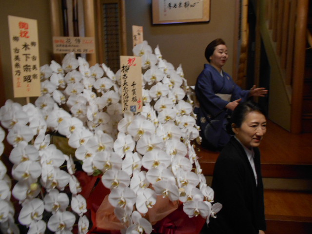 京都花街宮川町 お茶屋花傳かでん パッキーの窓 楽天ブログ