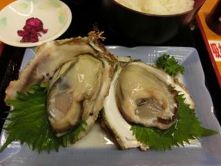 CIMG0355.jpg