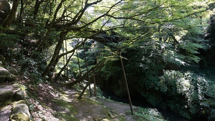 20150915 13332501.jpg