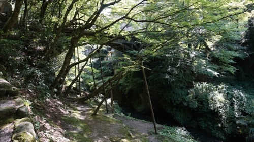 20150915 13332501.jpg