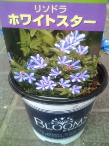20120328145124.jpg
