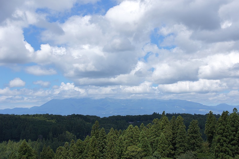 0801-5.jpg