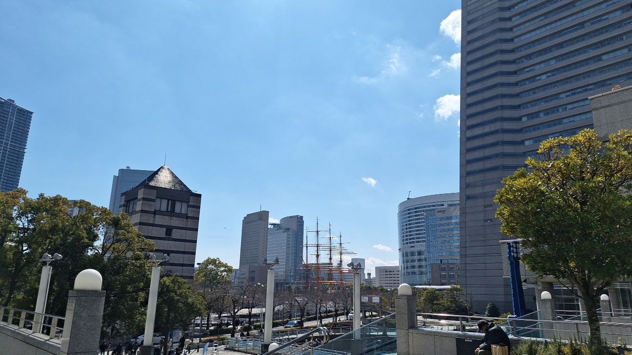 IMG_20250309_115951.jpg