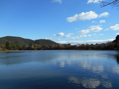 大沢池.jpg