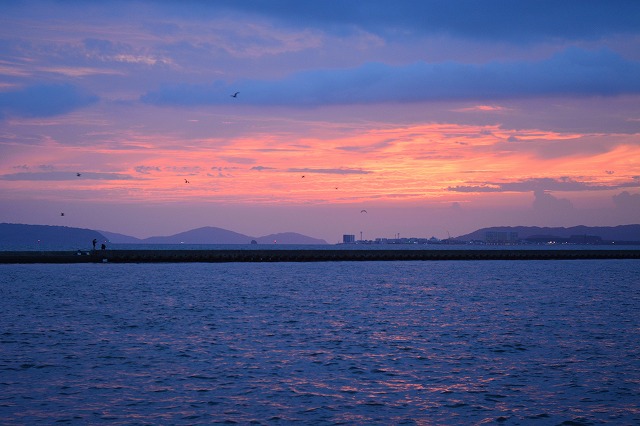 showPhoto (640×426)