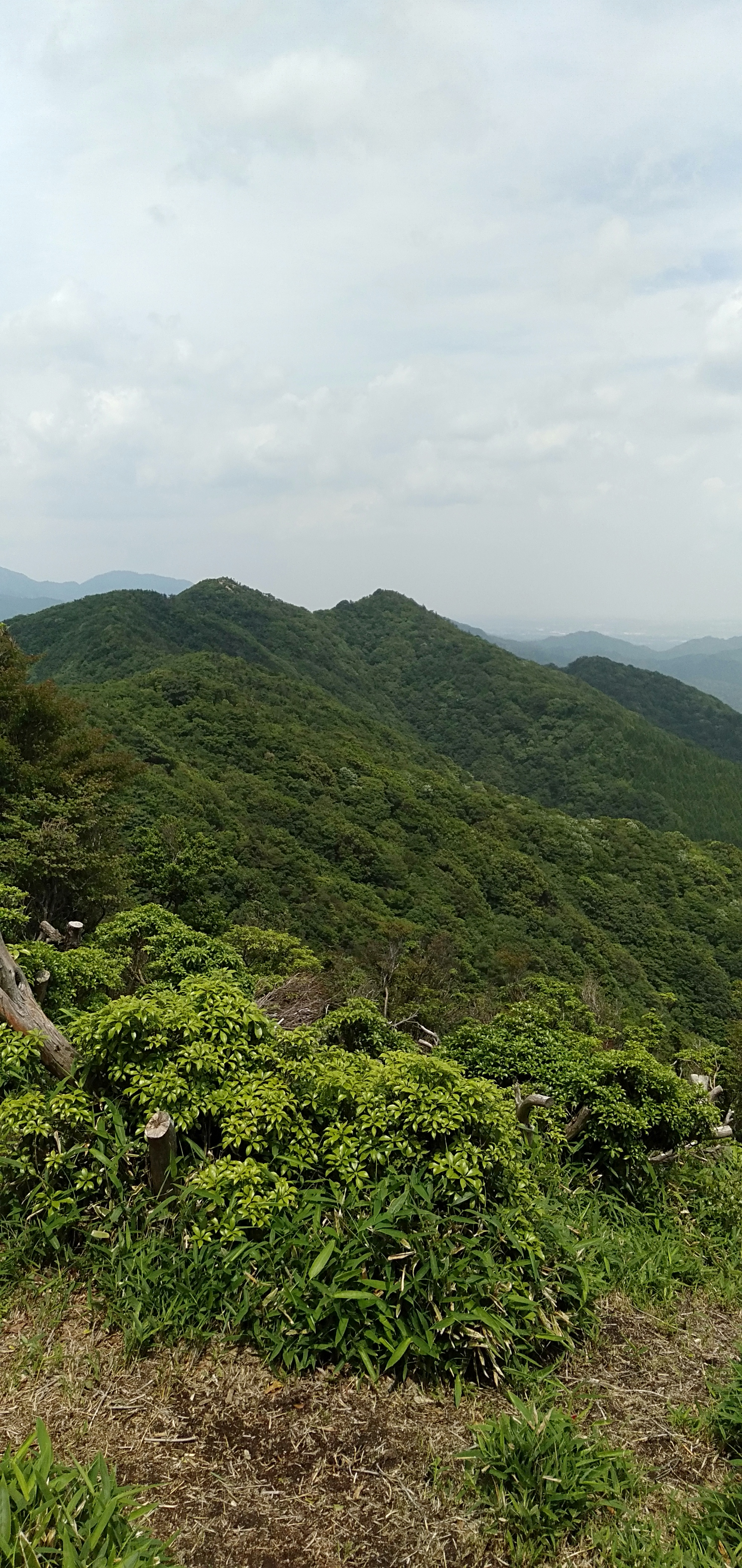 IMG20200615131029.jpg