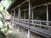 131.jpg