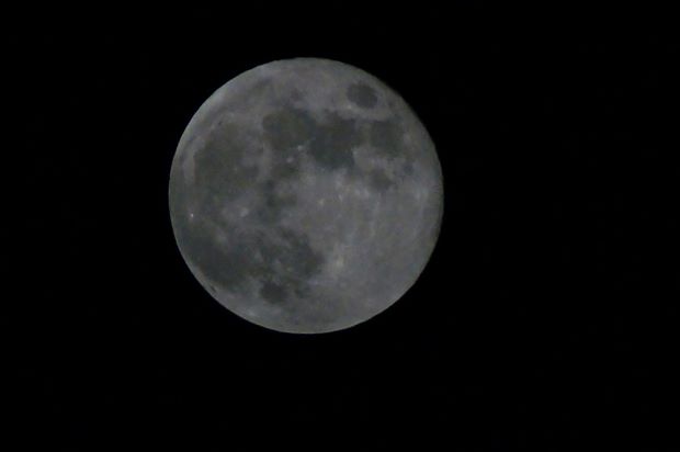 _DSC9356.JPG