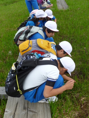 尾瀬学校201306282.jpg