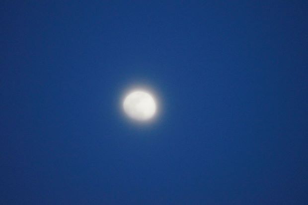 _DSC9984.JPG