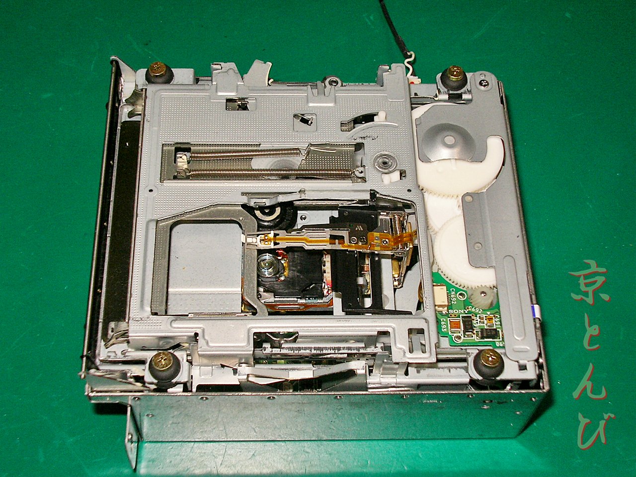 SANY0185.JPG