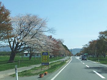 120513_1.JPG