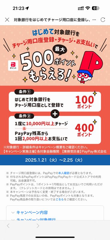 PayPayC_01.jpg