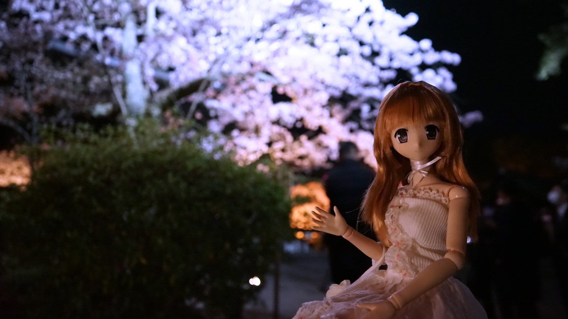 三井寺　夜桜陽菜ちゃん.jpg