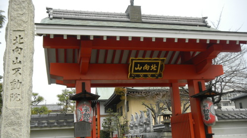 017北向山不動院 (2).JPG