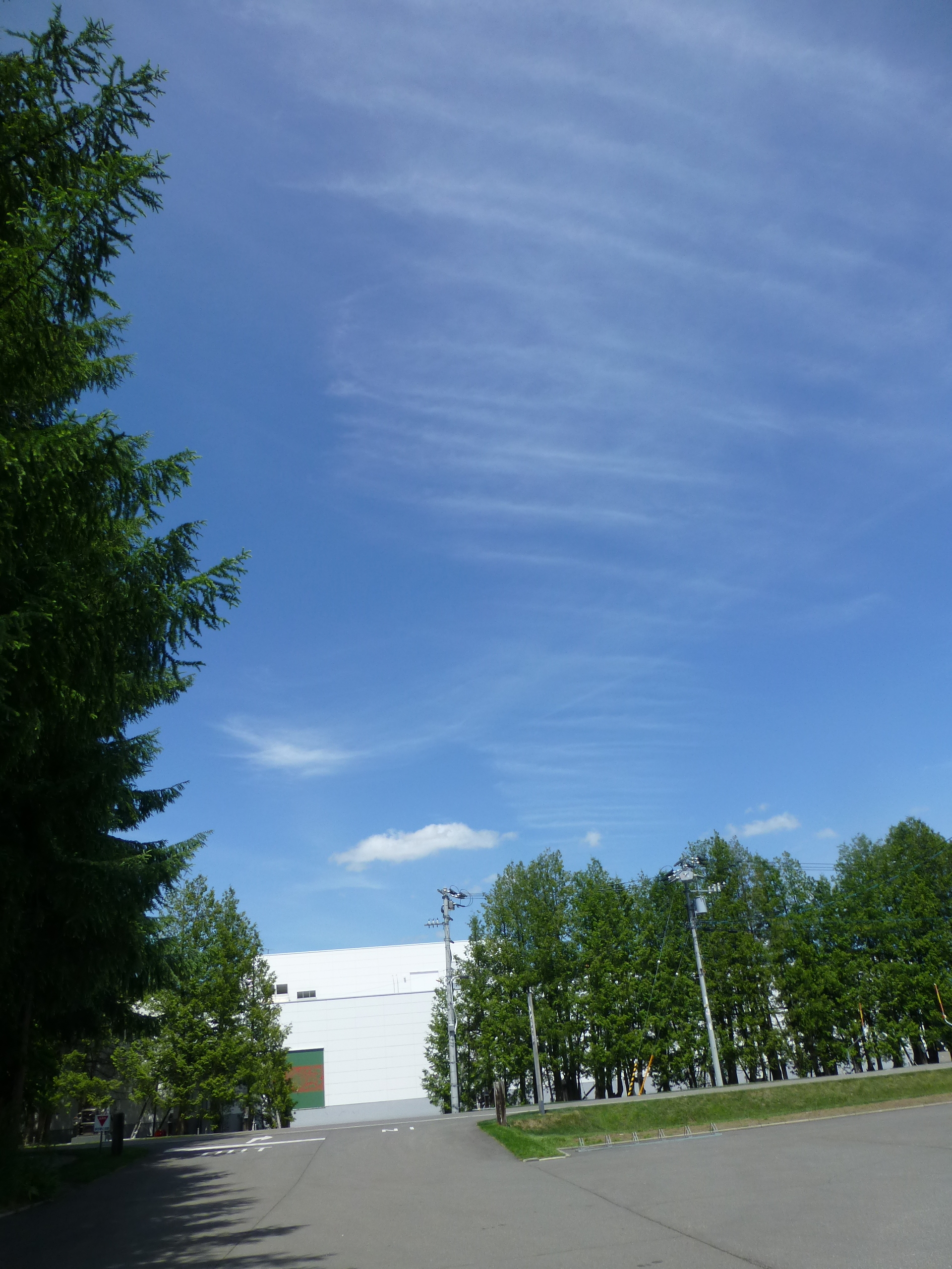P1150501.JPG