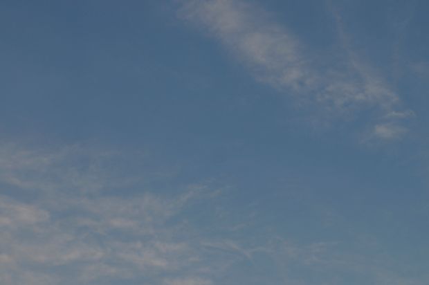 _DSC3516.JPG