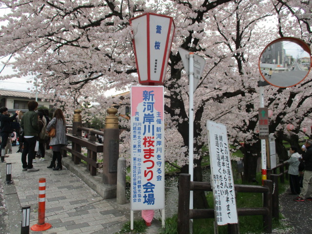 桜まつり