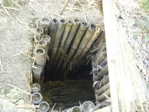 グアム旅行 タロフォフォの滝 (20).JPG