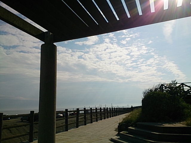 20150429  DSC_0001.jpg