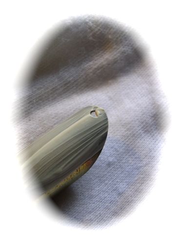 RIMG0530.jpg