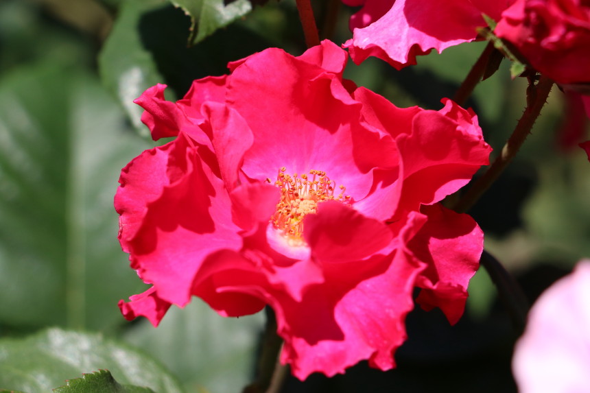 H41A5850.JPG