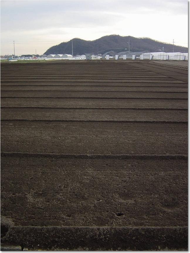 10美味しそうな畑