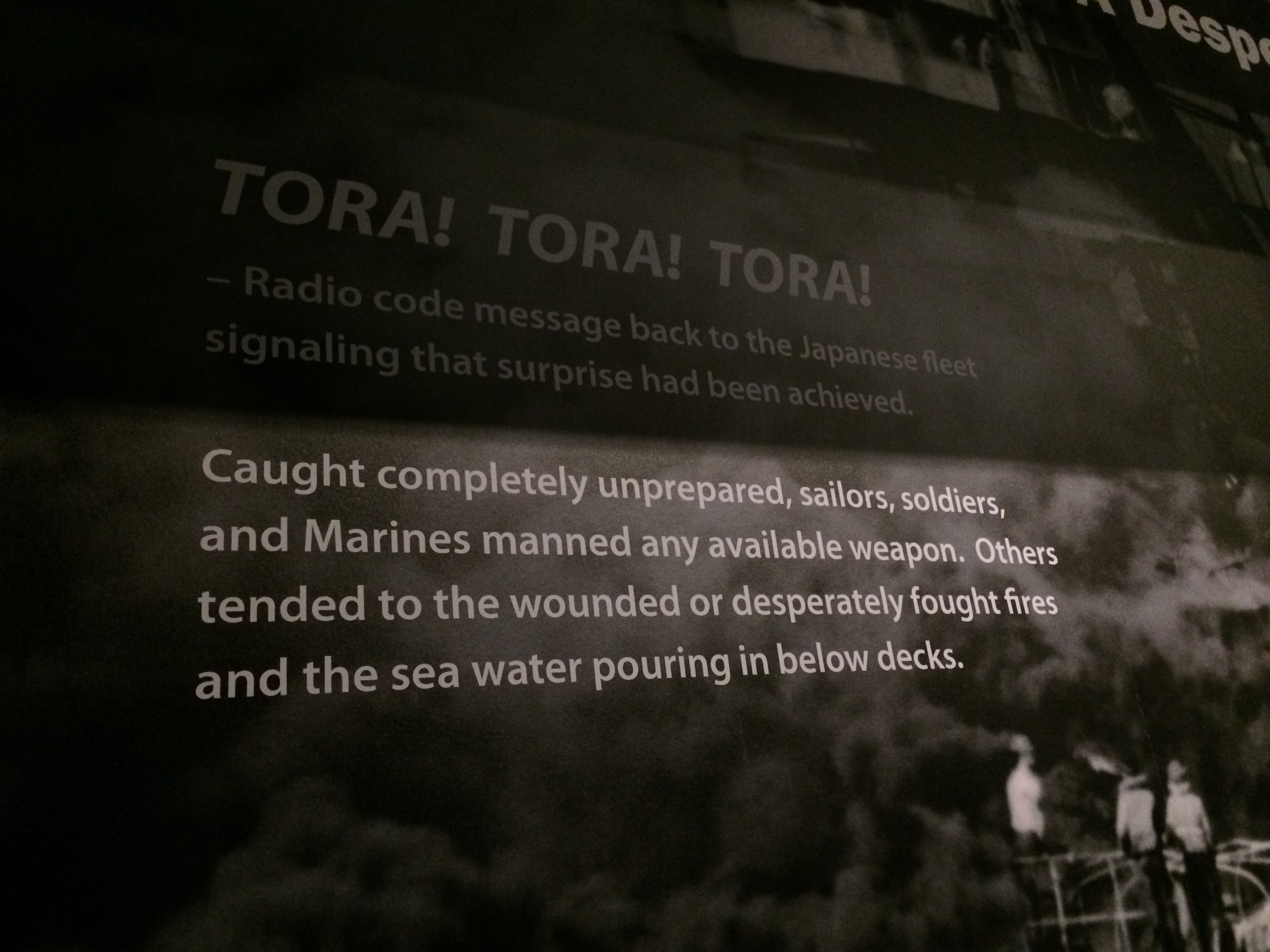 toratoratora.JPG