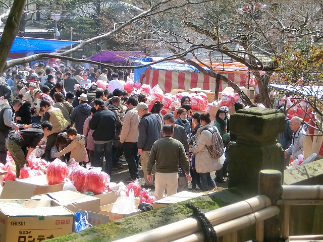 daruma ichi  view.jpg