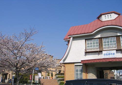 2012sakura021.jpg