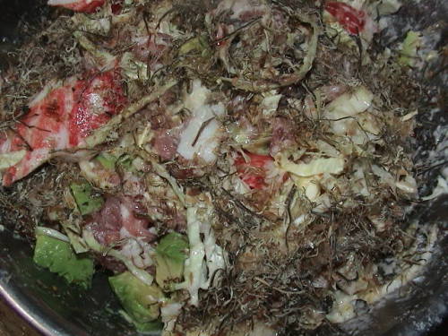 ねこんぶまんま (4).JPG