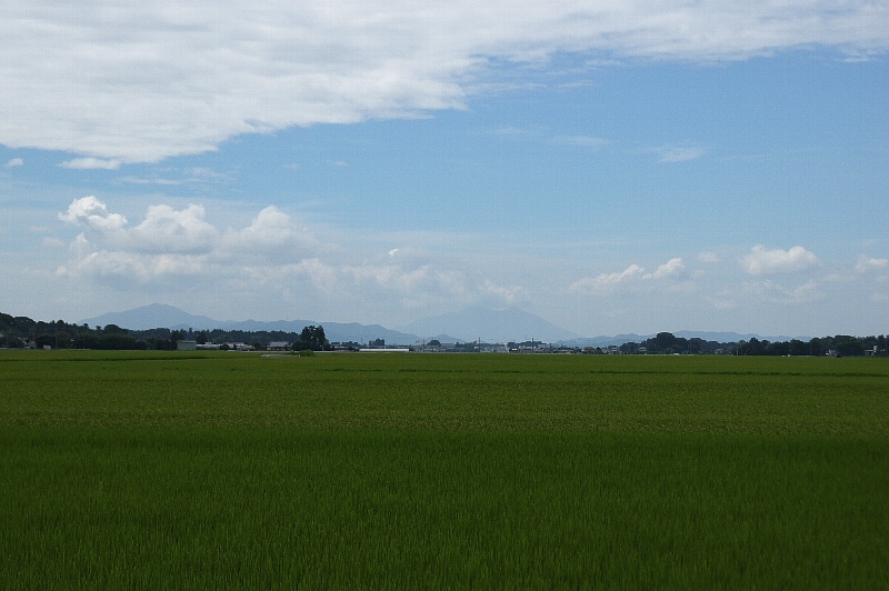 0809-5.jpg