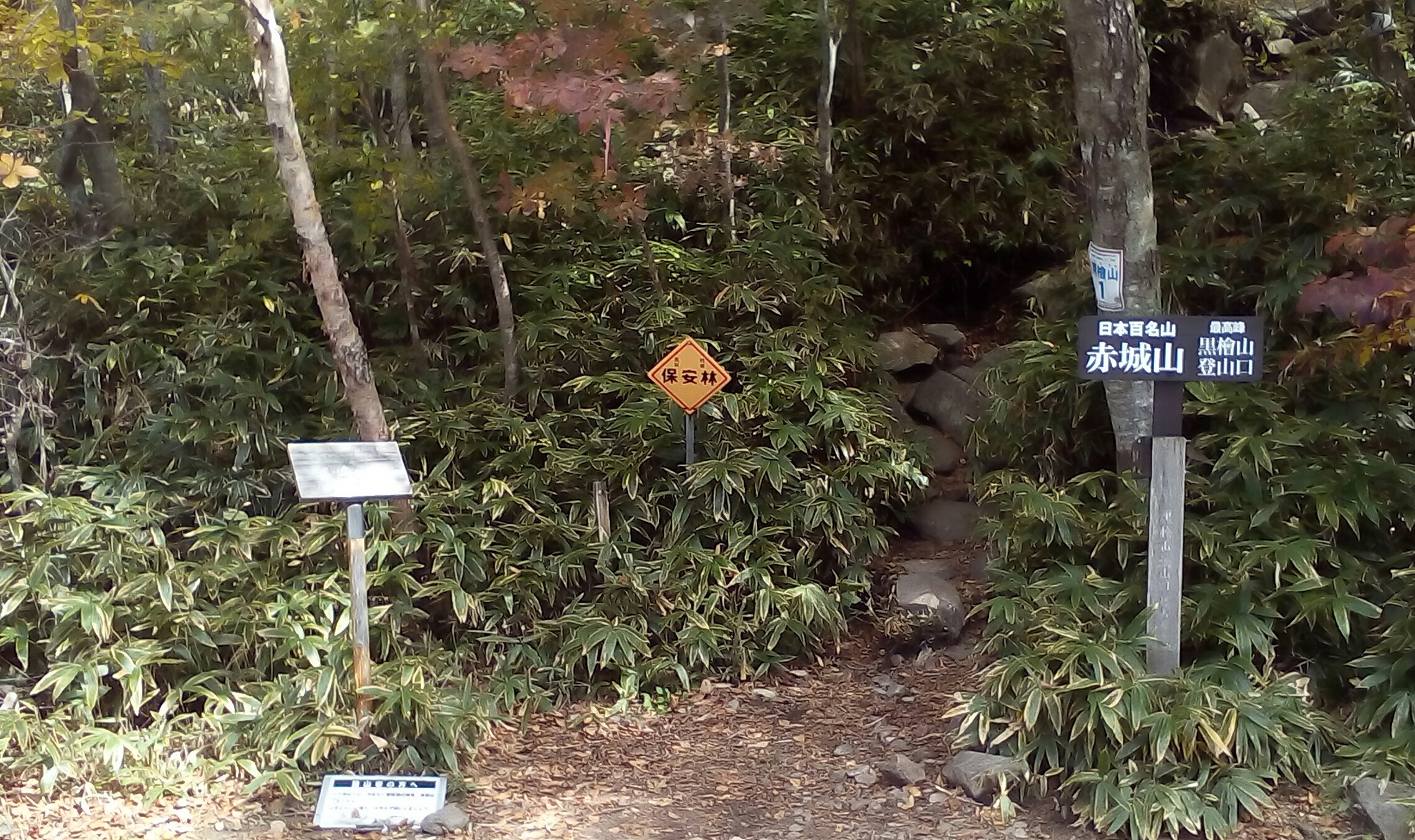 IMG_20151013_150912_242.JPG