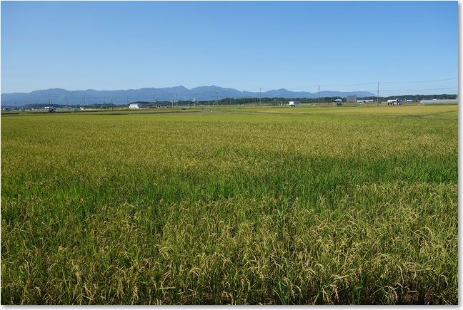 28広～い田んぼ