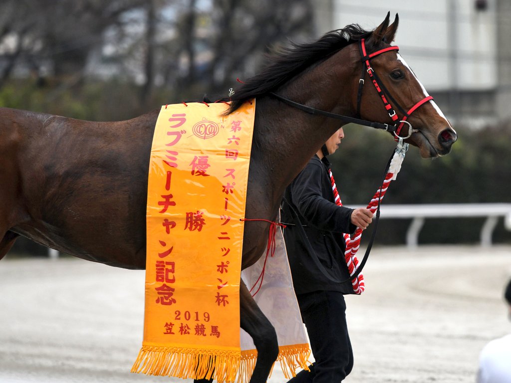 ラブミーチャン記念１９駒野ｂ.jpg