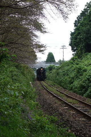 DSC03268.JPG