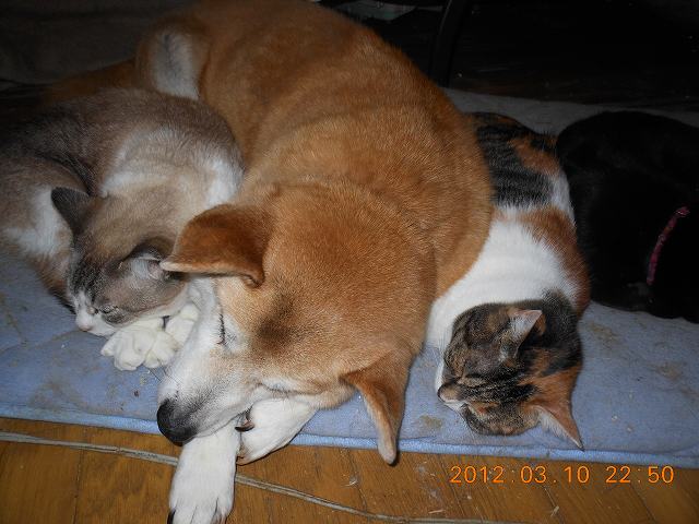 DSCN3140.JPG