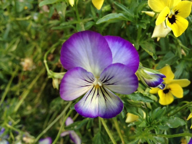 IMG_9352 (640x480).jpg