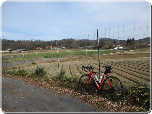 2451高宮町高原地帯_2451.jpg