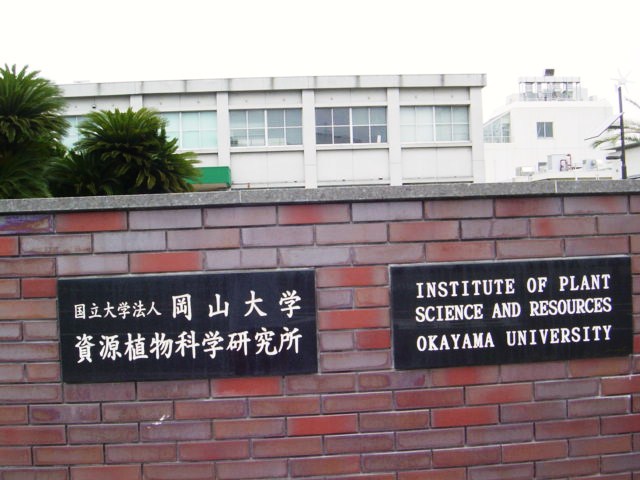 DSC08035.JPG