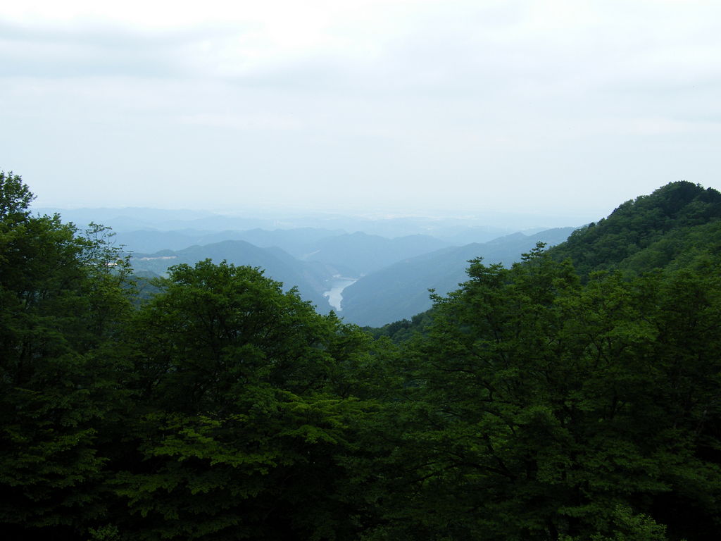 20090523-06.jpg