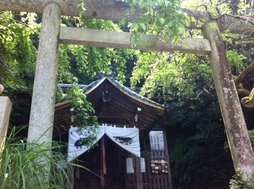 大豊神社.jpg