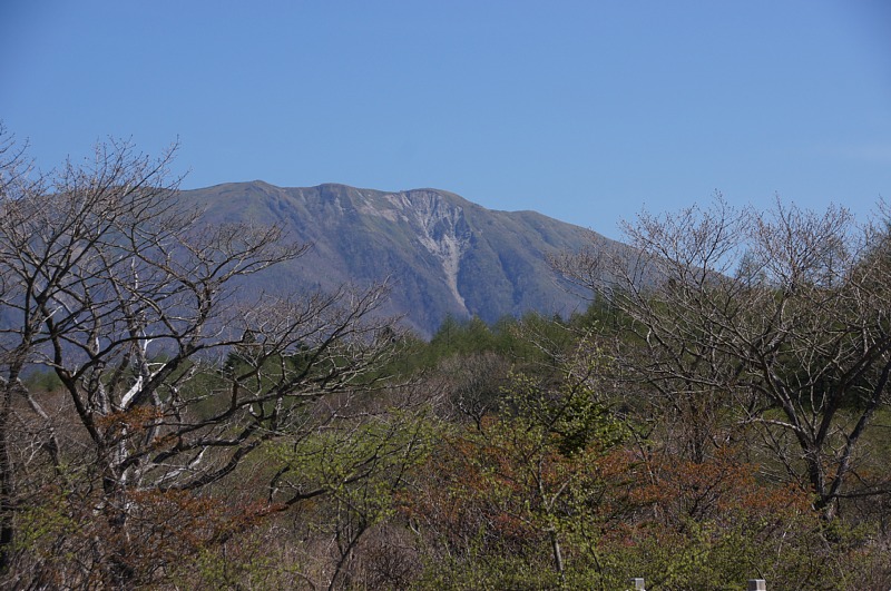 0515-7.jpg