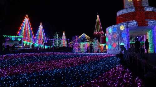 20141119 17172401.JPG