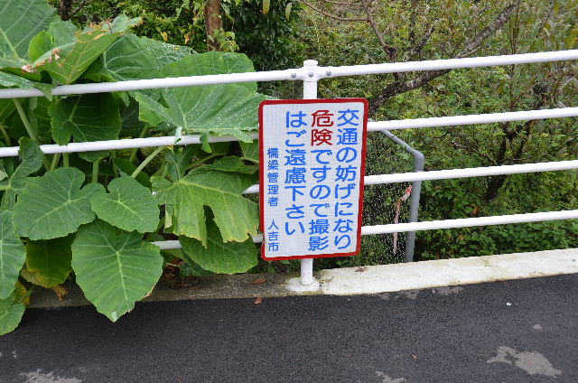 DSC_9514.JPG