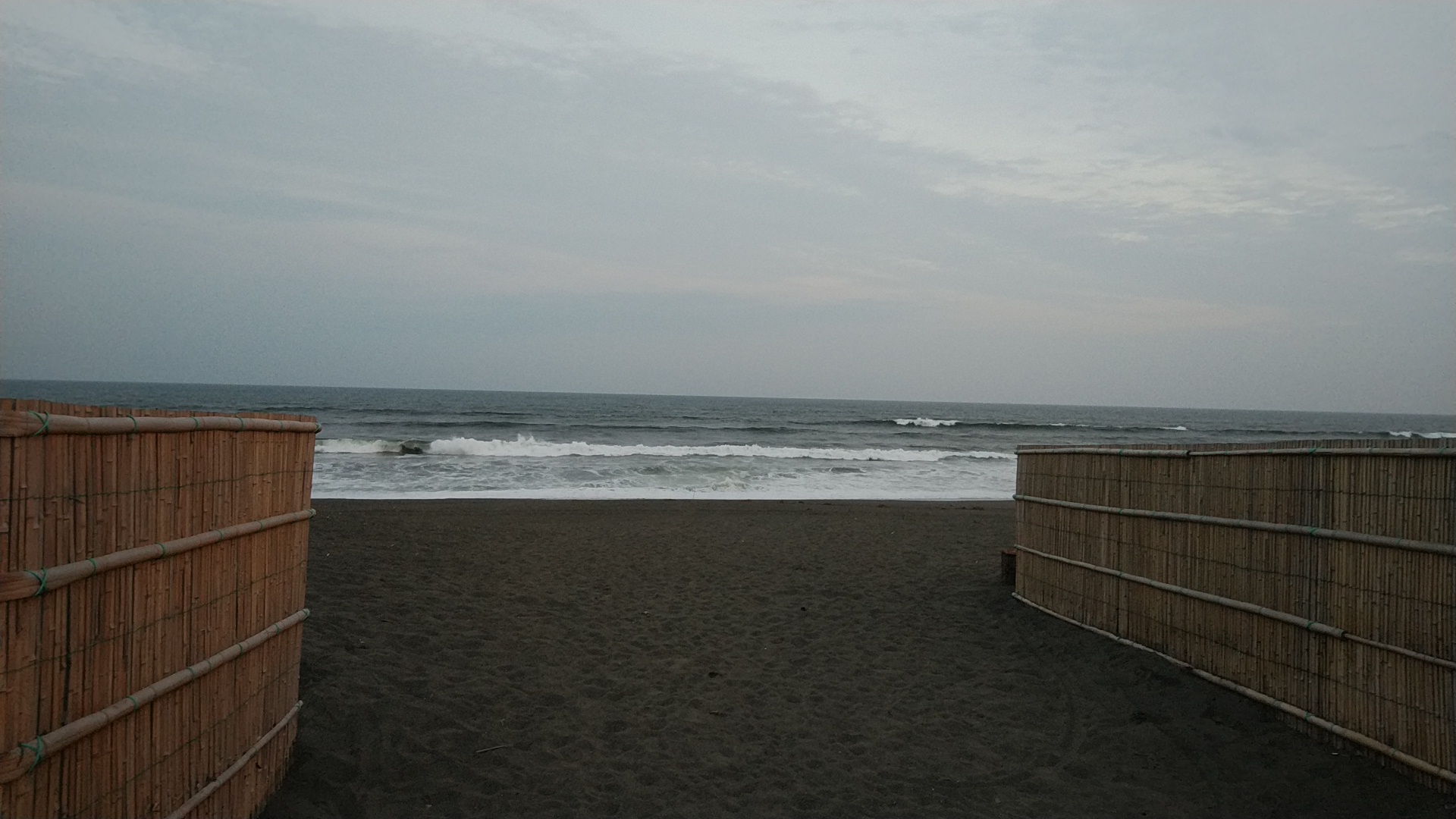 20190825  DSC_0002.jpg.jpg